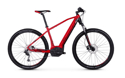 Vitality Dice 29er 6.0