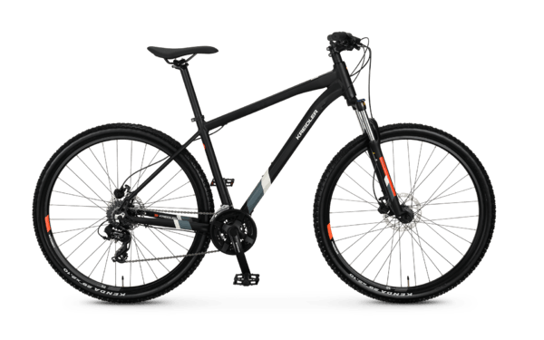 Dice 29er 3.0
