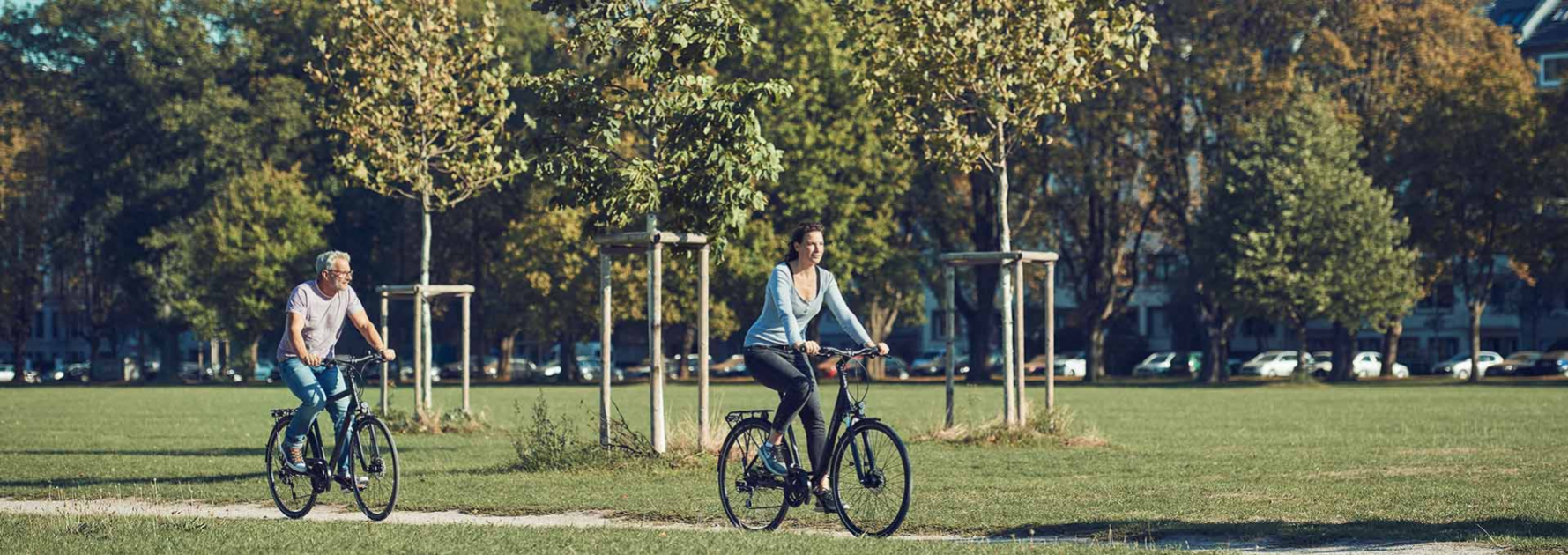 Kreidler Bicycle E Bike From Oldenburg Imprint